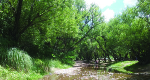 San Luis: por la sequía, la entrega de agua en zona El Suyuque se hará con turnos programados