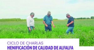 San Luis: charla técnica sobre henificación de calidad de alfalfa