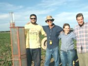 La cobertura del suelo afecta la cantidad de glifosato en el agua de escurrimiento