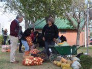 Este jueves, “Sol Puntano” abre sus puertas para una nueva feria de carnes y verduras