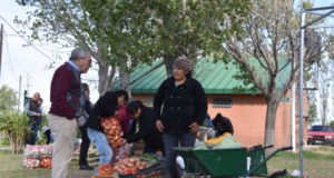 Este jueves, “Sol Puntano” abre sus puertas para una nueva feria de carnes y verduras