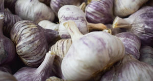 En Brasil renuevan arancel para el ajo chino y acá festejan productores mendocinos