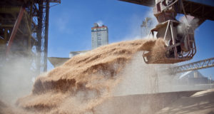 Las ventas de granos “a precio hecho” de la próxima cosecha crecieron 260%
