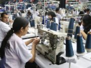 Las cooperativas de trabajo, el derecho al trabajo y el trabajador asociado