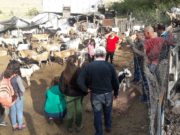 Experiencia de estudiantes con productores de la agricultura familiar