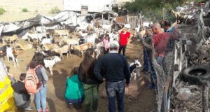 Experiencia de estudiantes con productores de la agricultura familiar