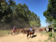 Aumento salarial para trabajos rurales en San Luis