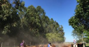Aumento salarial para trabajos rurales en San Luis