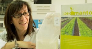 San Luis: crean un manto biodegradable para inhibir malezas para el cultivo orgánico