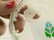 Desarrollan en San Luis perlas biofertilizantes para cultivos
