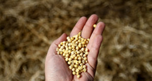 El INASE continúa con controles del uso de semillas en la presente campaña agrícola