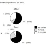 24 – 10 – informe silajes 2