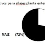 24 – 10 – informe silajes 3