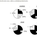 24 – 10 – informe silajes 4
