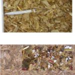 24 – 10 – informe silajes – foto 10