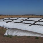 24 – 10 – informe silajes – foto 11