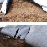 24 – 10 – informe silajes – foto 14