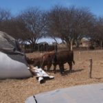 24 – 10 – informe silajes – foto 2