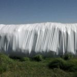 24 – 10 – informe silajes – foto 6