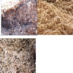 24 – 10 – informe silajes – foto 7