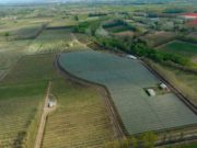 Protección de 80 hectáreas de mallas antigranizo en Río Negro