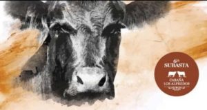 Los Alfredos rematará el viernes más de 300 reproductores
