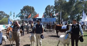 La Expo Rural San Luis premió a los mejores reproductores