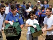 San Luis: la Reserva Florofaunística liberó 25 valiosas aves rescatadas del mascotismo