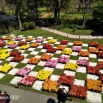TUPJyF-IMG02