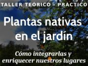 Villa de Merlo: ofrecen un curso para integrar las plantas nativas en el jardín