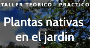 Villa de Merlo: ofrecen un curso para integrar las plantas nativas en el jardín