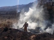 Villa de Merlo: controlan el incendio en Sierra de los Comechingones