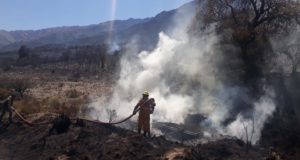 Villa de Merlo: controlan el incendio en Sierra de los Comechingones
