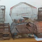 WhatsApp-Image-2019-10-19-at-17.21.39