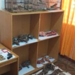 WhatsApp-Image-2019-10-19-at-17.21.41