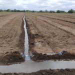 WhatsApp Image 2019-10-28 at 13.37.47 (2)