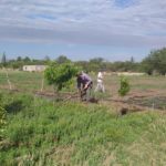 WhatsApp Image 2019-10-28 at 18.25.25 (1)