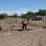 WhatsApp Image 2019-10-28 at 18.25.25