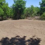 WhatsApp Image 2019-10-28 at 18.25.27 (1)