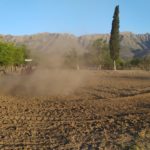 WhatsApp Image 2019-10-28 at 18.25.28