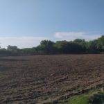 WhatsApp Image 2019-10-28 at 18.25.29 (1)