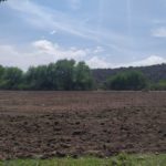 WhatsApp Image 2019-10-28 at 18.25.32 (1)