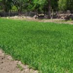 WhatsApp Image 2019-10-28 at 18.25.32