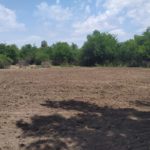 WhatsApp Image 2019-10-28 at 18.25.33 (1)