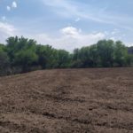 WhatsApp Image 2019-10-28 at 18.25.33