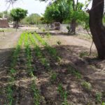 WhatsApp Image 2019-10-28 at 18.25.37