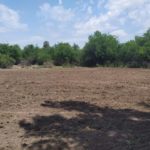 WhatsApp Image 2019-10-28 at 18.25.38 (1)