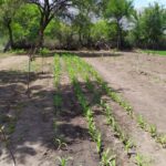 WhatsApp Image 2019-10-28 at 18.25.39 (1)