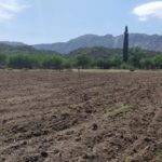 WhatsApp Image 2019-10-28 at 18.25.39