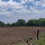 WhatsApp Image 2019-10-28 at 18.25.40 (1)